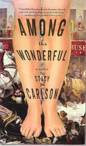 Among The Wonderful: A Novel by Stacy Carlson