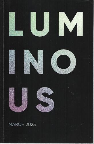 Luminous: Prepare For A Breathtaking Vision Of Your Future by Silvia Park