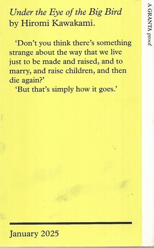 Under The Eye Of The Big Bird: Longlisted For The International Booker Prize 2025 by Hiromi Kawakami