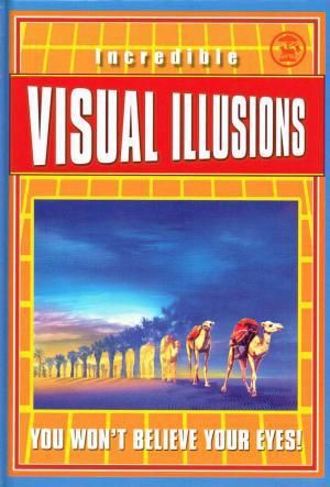 Incredible Visual Illusions by Al Seckel