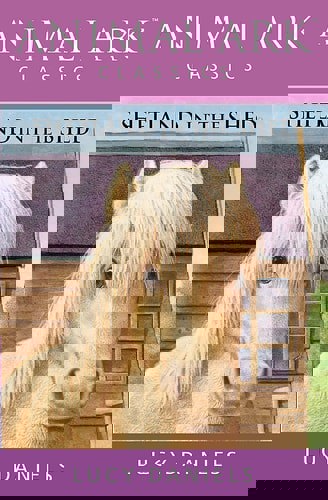 Shetland In The Shed by Lucy Daniels