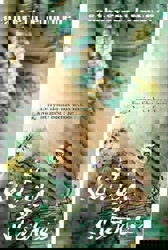 Set In Stone by Catherine Dunne