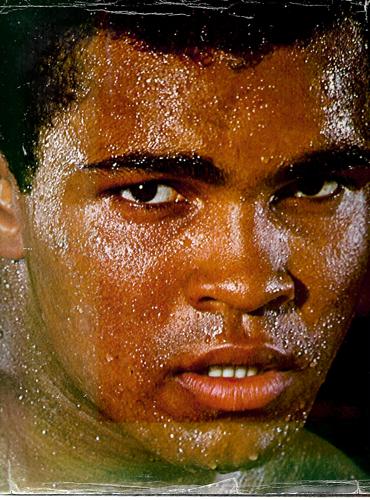 Muhammad Ali: A Portrait In Words And Photographs by Wilfrid Sheed