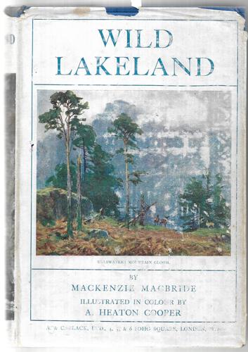 Wild Lakeland by MacKenzie MacBride