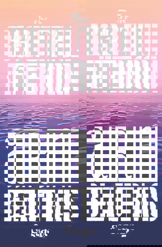 The Beautiful Afternoon by Airini Beautrais