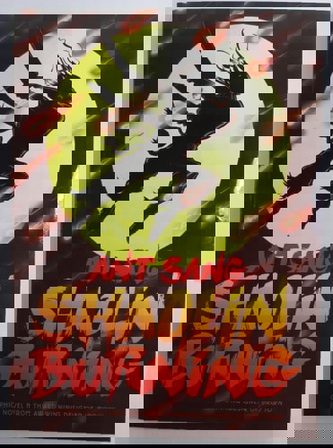 Shaolin Burning by Anthony Sang