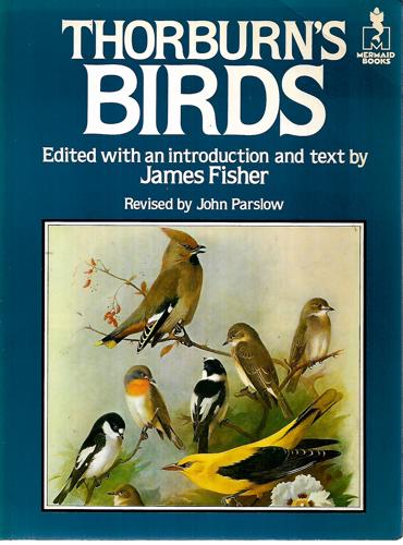 Thorburn's Birds by Archibald Thorburn