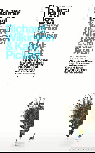 The Inner Level How More Equal Societies Reduce Stress, Restore Sanity And Improve Everyone's Well-Being by Kate Pickett and Richard G. Wilkinson