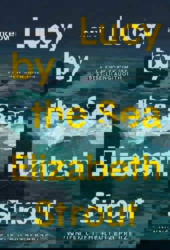 Lucy By The Sea A Novel by Elizabeth Strout