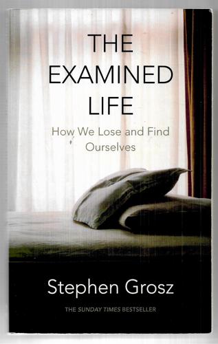 The Examined Life: How We Lose And Find Ourselves by Stephen Grosz