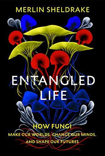 Entangled Life. How Fungi Make Our Worlds, Change Our Minds and Shape Our Futures by Merlin Sheldrake