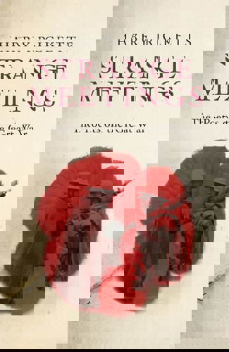 Strange Meetings The Poets Of The Great War by Harry Ricketts