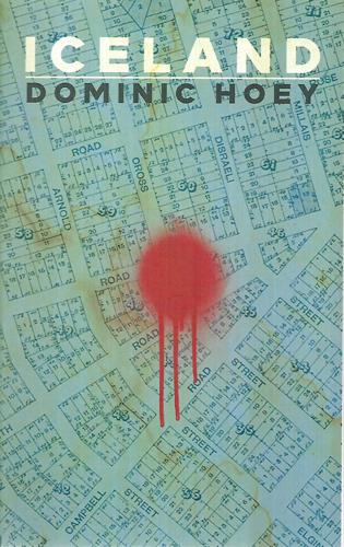 Iceland by Dominic Hoey