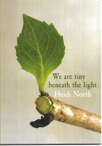 We Are Tiny Beneath The Light by Heidi North
