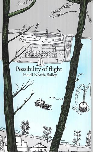 Possibility Of Flight by Heidi North-Bailey