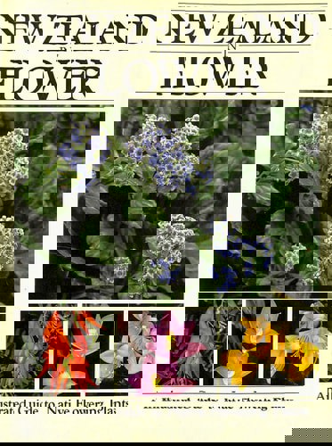 New Zealand In Flower: An Illustrated Guide To Native Flowering Plants by Stephen Barnett