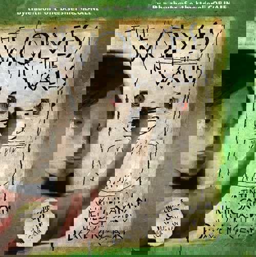 The Wolves In The Walls by Neil Gaiman