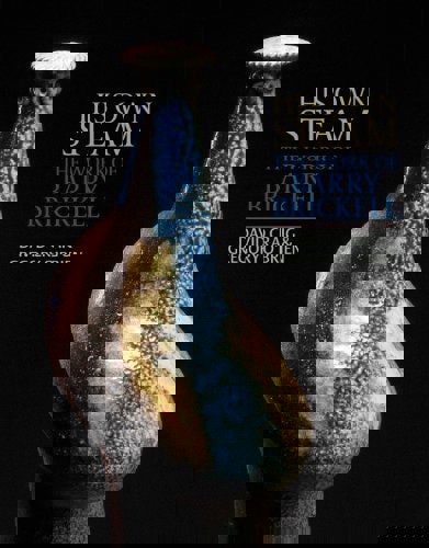 His Own Steam The Work Of Barry Brickell by David Craig and Gregory O'Brien