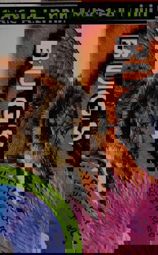 Bugs by Steve Setford