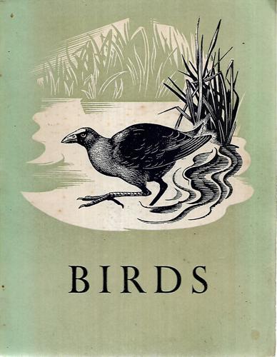 Birds (A Primary school bulletin) by R. A. Falla