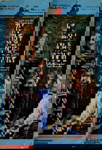 The Ghost In The Picture by Meg Schneider