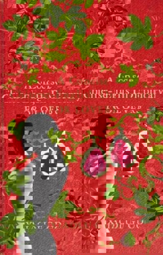 A Concise Chinese-English Dictionary For Lovers by Xiaolu Guo