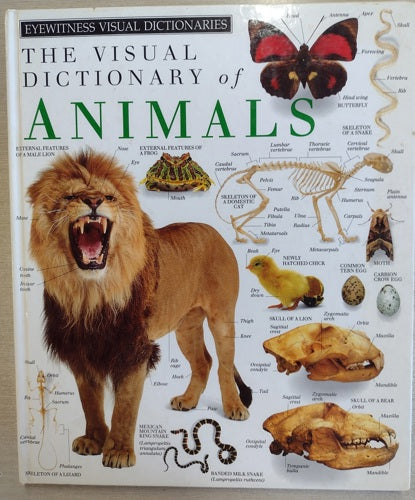 The Visual Dictionary Of Animals by Reader's Digest