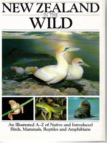 New Zealand in the Wild by Stephen Barnett