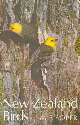 New Zealand Birds by M. F. Soper