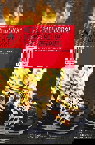 Bonfire Of The Brands How I Learnt To Live Without Labels by Neil Boorman