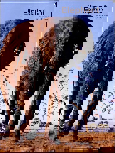 Elephant by Steve Bloom