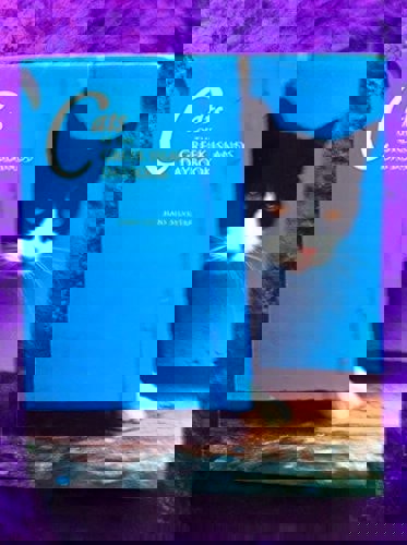 Cats Of The Greek Islands Daybook by Silvester