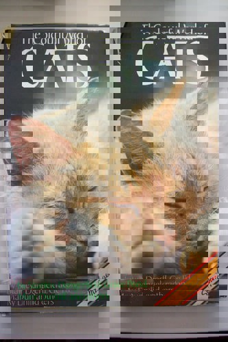 The Colourful World Of Cats by Stanley Dangerfield