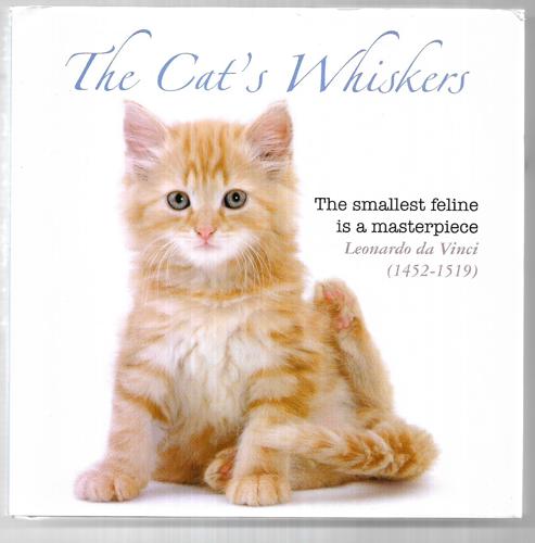 The Cat's Whiskers by Warren Photographs