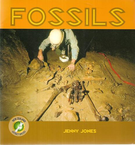 Fossils by Jenny Jones