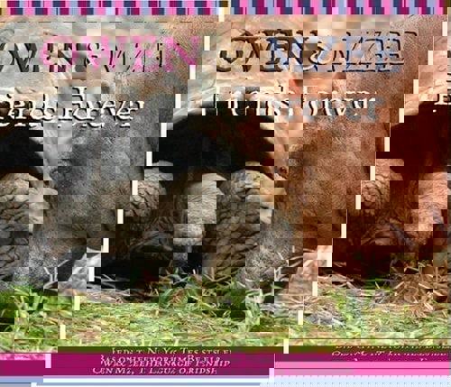 Owen And Mzee: A Day Together by Craig Hatkoff and Isabella Hatkoff