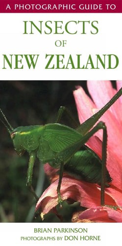 A Photographic Guide To Insects Of New Zealand by Brian Parkinson