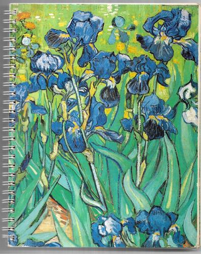 Van Gogh In Saint-Rémy And Auvers: A New Art Book And Engagement Book, 1988 by Metropolitan Museum Of Art and Susan Alyson Stein and Vincent van Gogh