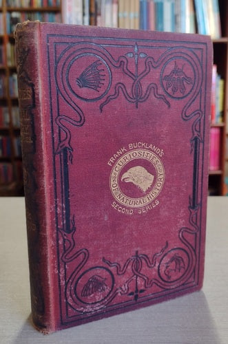 Curiosities Of Natural History: Second Series by Francis T. Buckland