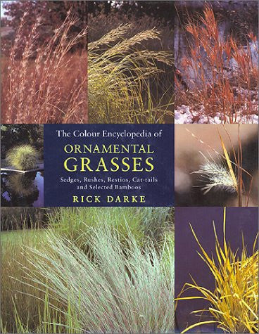 The Colour Encyclopedia Of Ornamental Grasses Sedges, Rushes, Restios, Cat-Tails, And Selected Bamboos by Rick Darke