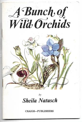A Bunch Of Wild Orchids by Sheila Natusch