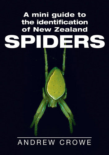A Mini Guide To The Identification Of New Zealand Spiders by Andrew Crowe