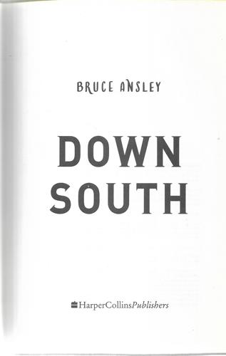 Down South by Bruce Ansley