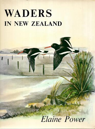 Waders In New Zealand by Elaine Power