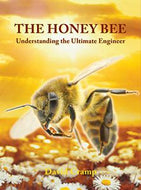 The Honey Bee: understanding the ultimate engineer by David Cramp
