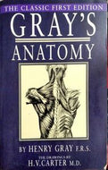 Gray's Anatomy by H.V. Carter Henry Gray