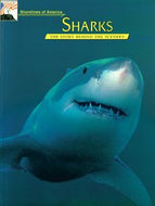 Sharks, Shorelines of America: the Story Behind the Scenery by Peter C. Howorth