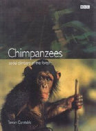 Chimpanzees : Social Climbers of the Forest: Social Climbers of the Forest by Tamsin Constable