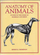 Anatomy of Animals: Studies in the Forms of Mammals And Birds by Ernest E. Thompson